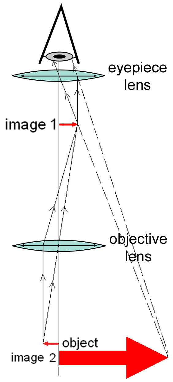 Ray diagram of a compound microscope showing the object, objective lens forming intermediate image 1, eyepiece lens, the eye, and the enlarged virtual final image 2