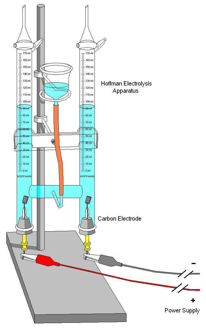 Hoffman electrolysis apparatus with two carbon electrodes connected to a power supply, collecting the gases evolved when water is electrolysed