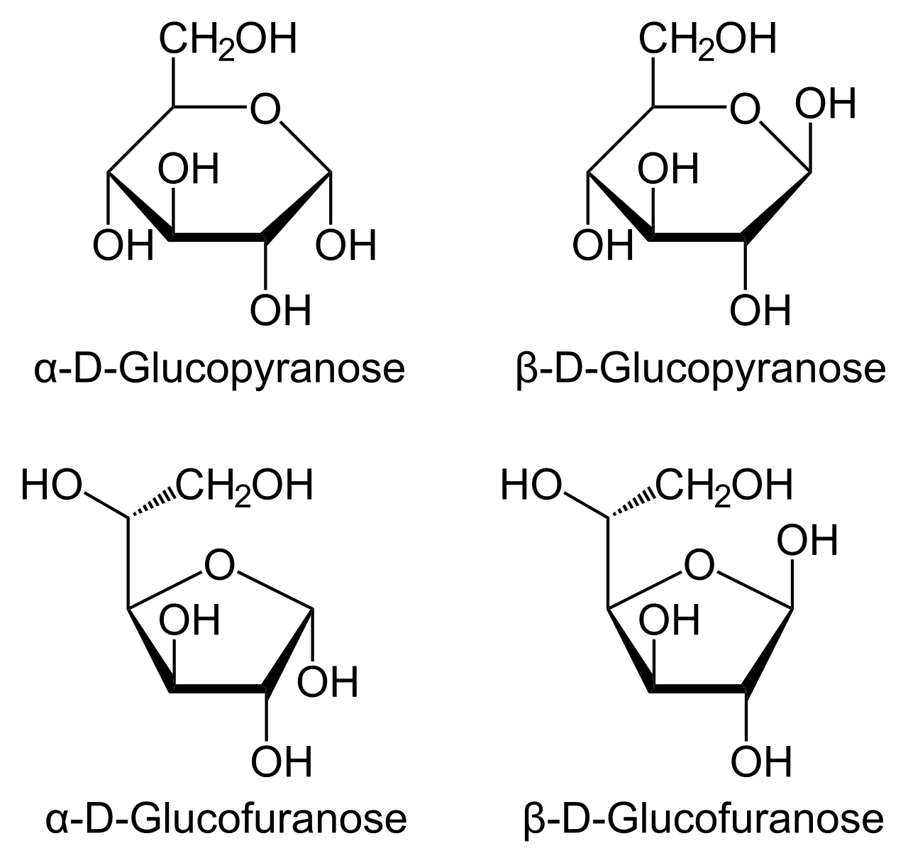 Haworth projections of glucose: alpha-D-glucopyranose and beta-D-glucopyranose six-membered rings, and alpha- and beta-D-glucofuranose five-membered rings, differing in the orientation of the anomeric OH group.