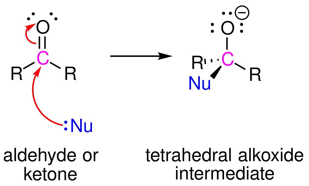 Nucleophilic addition to a carbonyl: a nucleophile attacks the electrophilic carbon of an aldehyde or ketone C=O, the pi electrons shift onto oxygen, giving a tetrahedral alkoxide intermediate.