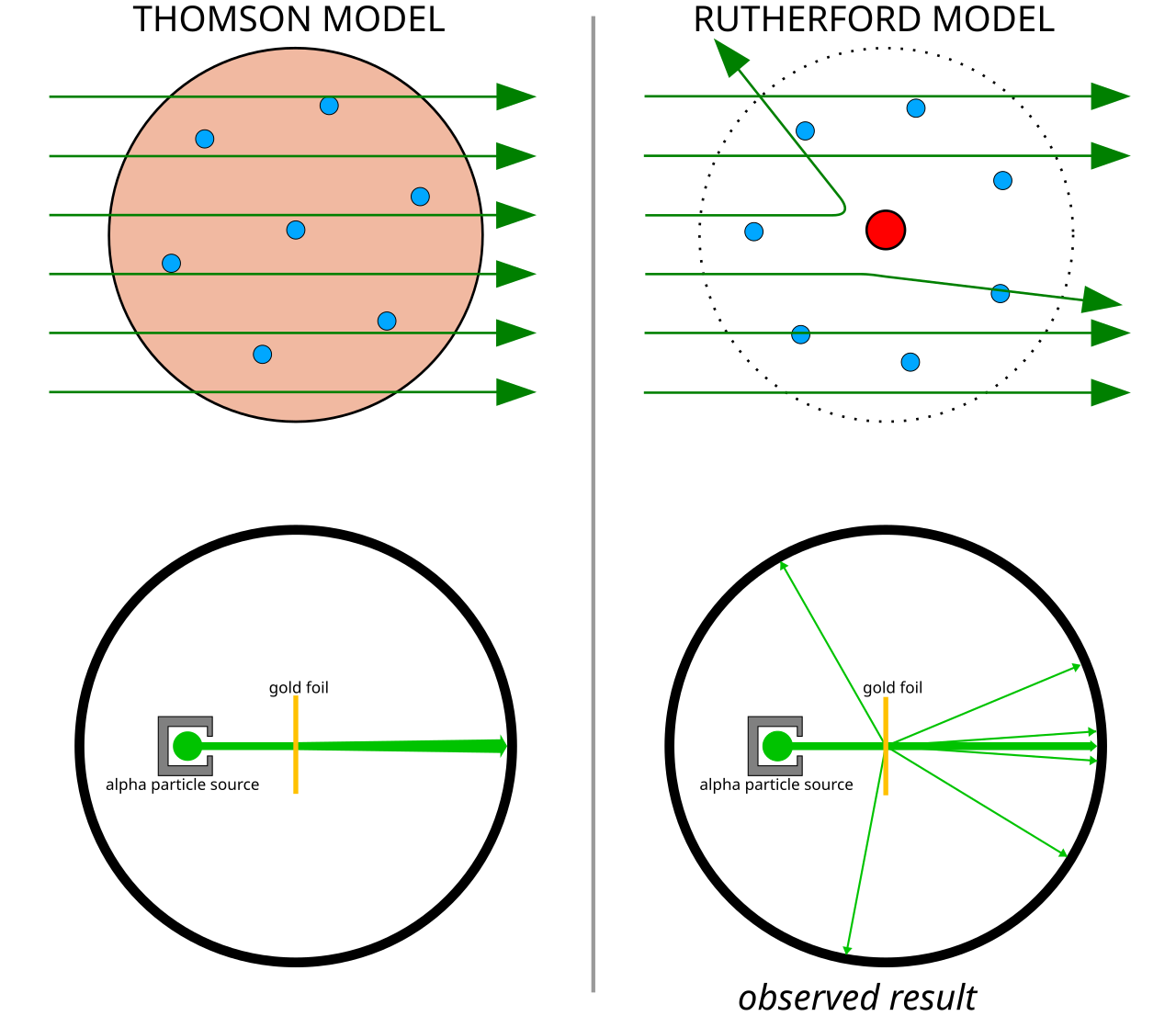 Comparison of the Thomson model and the Rutherford model of the atom: in the Thomson plum pudding model alpha particles pass almost straight through a diffuse positive sphere, while in the Rutherford model a concentrated central nucleus deflects some alpha particles through large angles, with the lower panels showing the alpha particle source and gold foil and the observed result of wide-angle scattering